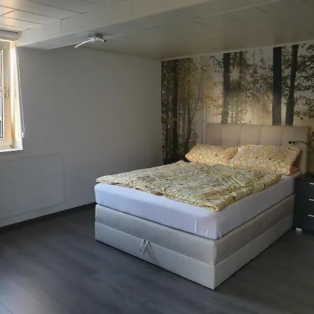 Apartment Ferienwohnung Im Urfftal *